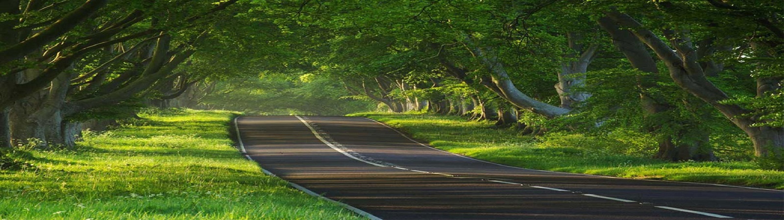  Total Environment Plots Goa Banner Image